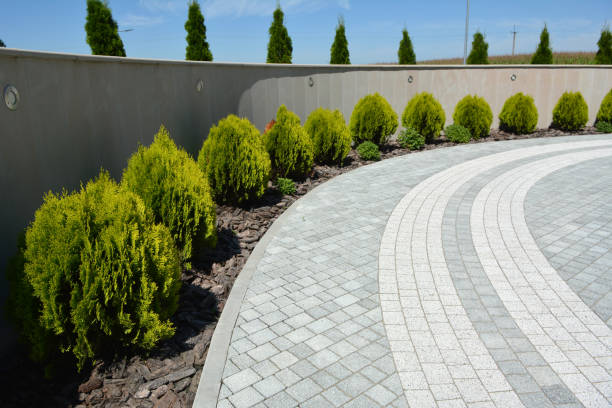 Reasons to Select Us for Your Driveway Paving Requirements in Myrtle Grove, NC